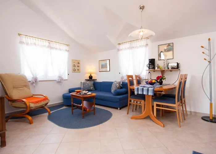 招待所 Grivicic 3*