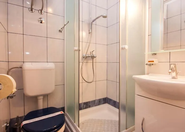 招待所 Grivicic 3*