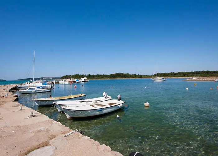 招待所 Grivicic 3*