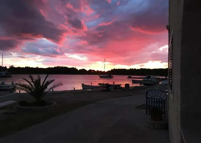 ゲストハウス Grivicic 3*