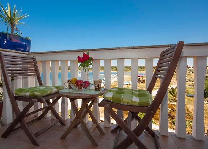 Grivicic 招待所 3*